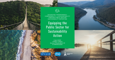 Public Sector Needs A Holistic Approach To Sustainability | IFAC